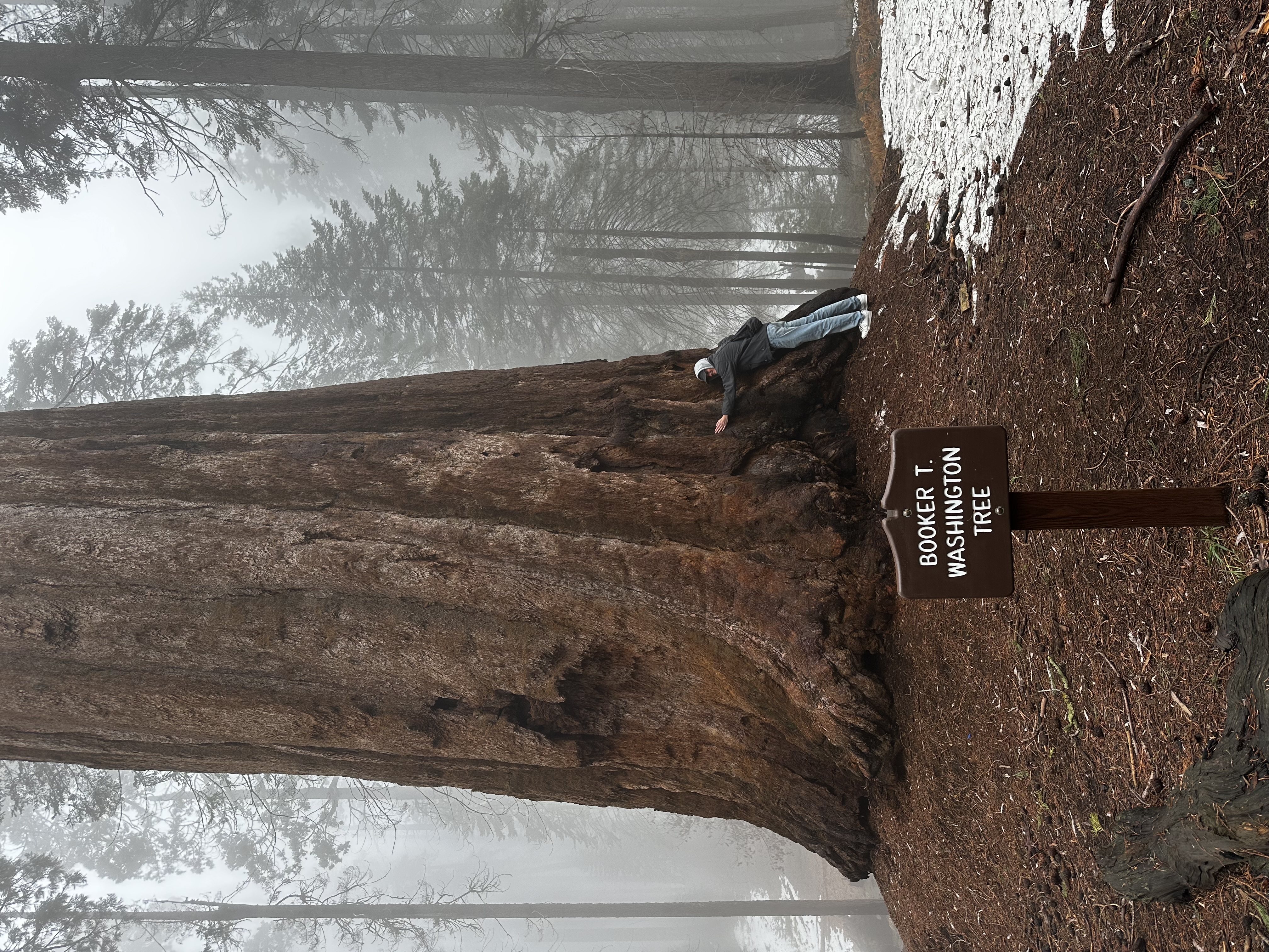 Sequoia National Park